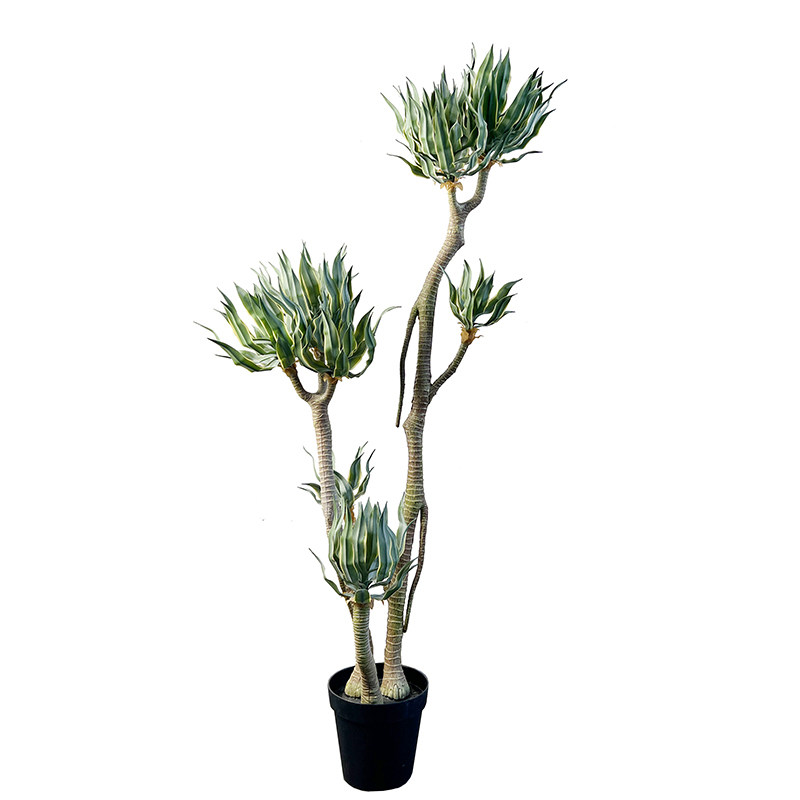 特丽卉仿真沙漠植物龙舌兰包邮