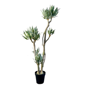 特丽卉仿真沙漠植物龙舌兰包邮