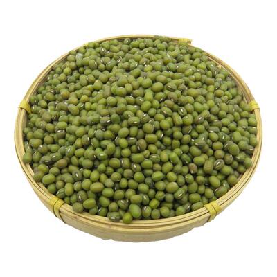 一号绿豆早熟高产抗病好春季种子