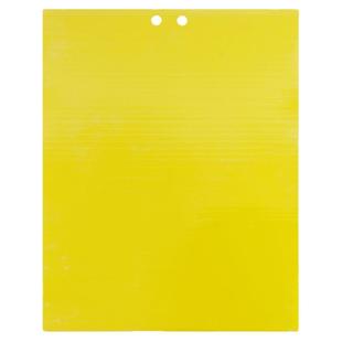 粘虫板大棚专用黄板双面小黑飞果蝇诱捕器黄蓝诱虫板农用月季蓟马