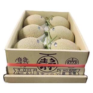 高端日本引进静冈网纹蜜瓜原箱6颗哈蜜瓜品种软糯香甜多汁T字瓜