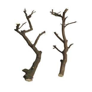 去皮干树枝枯枝花艺造型软装材料室内创意造景装饰插花瓶枯木摆件