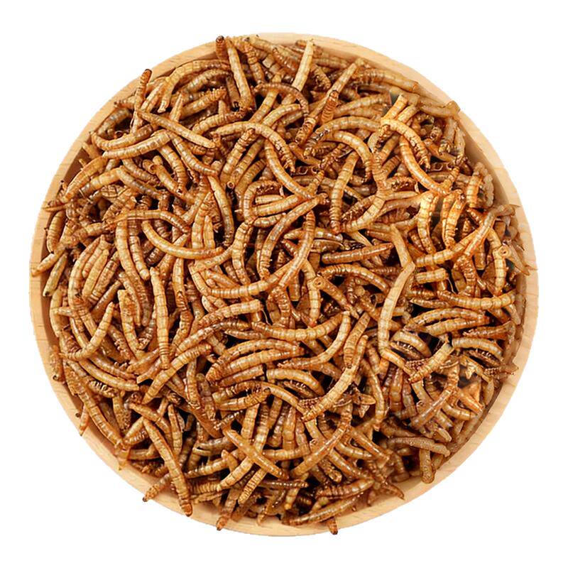 矿物质补充~4000ml大含量面包虫
