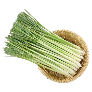 新鲜品质香茅草香茅泰国奶茶冬阴功柠檬草配料可食用汤料香料调料