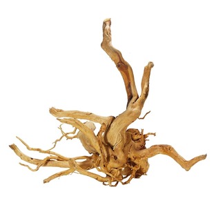 沉木造景木鱼缸装饰天然树根杜鹃根造景小沉木枝条栖根木头造型