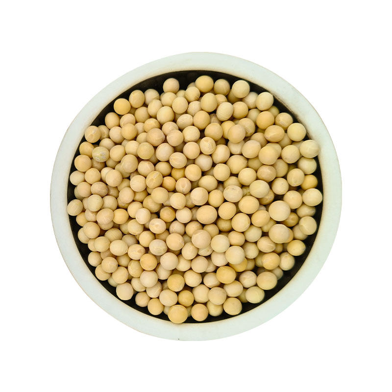 黄豆打豆浆专用农家自种非转基因黄豆
