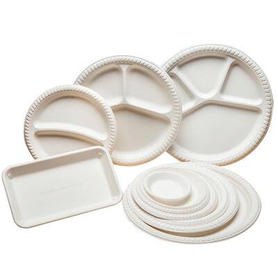 一次性盘子加厚可降解多格甜品