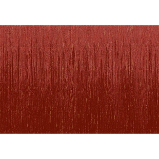 红色高端入户门地垫大门口进门耐脏免洗脚垫别墅豪宅喜庆入户地毯