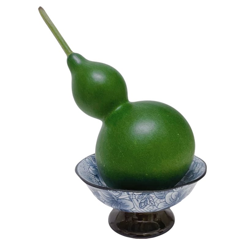 云南新鲜青皮葫芦文玩摆件招财福葫芦