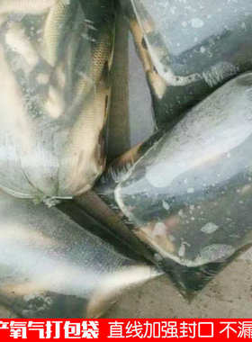 加厚水产市场平口塑料袋活鱼充氧袋钓鱼打包袋子运输装鱼袋子批发