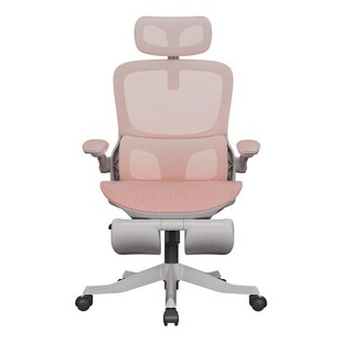 黑白调P2Pro女生人体工学椅子电脑椅子电竞椅家用舒适久坐办公椅