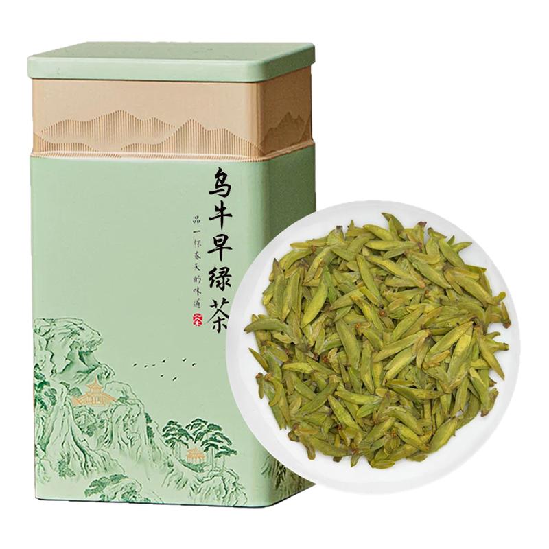 头采乌牛早绿茶2026新茶