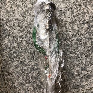 议价TEAMTEC焚烧炉温度感测器part:12501全新现货议价