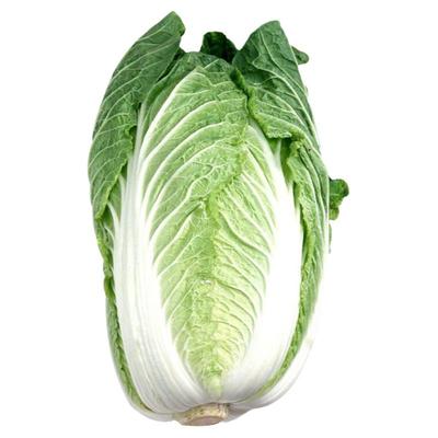 高产种子中晚熟杂交大白菜