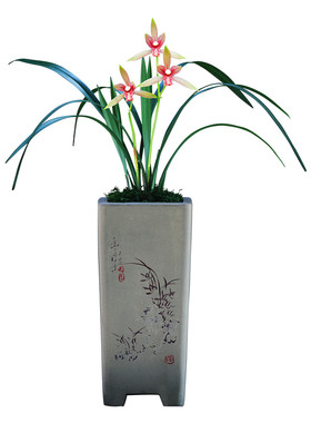 正品浓香型室内好养观花植物盆栽
