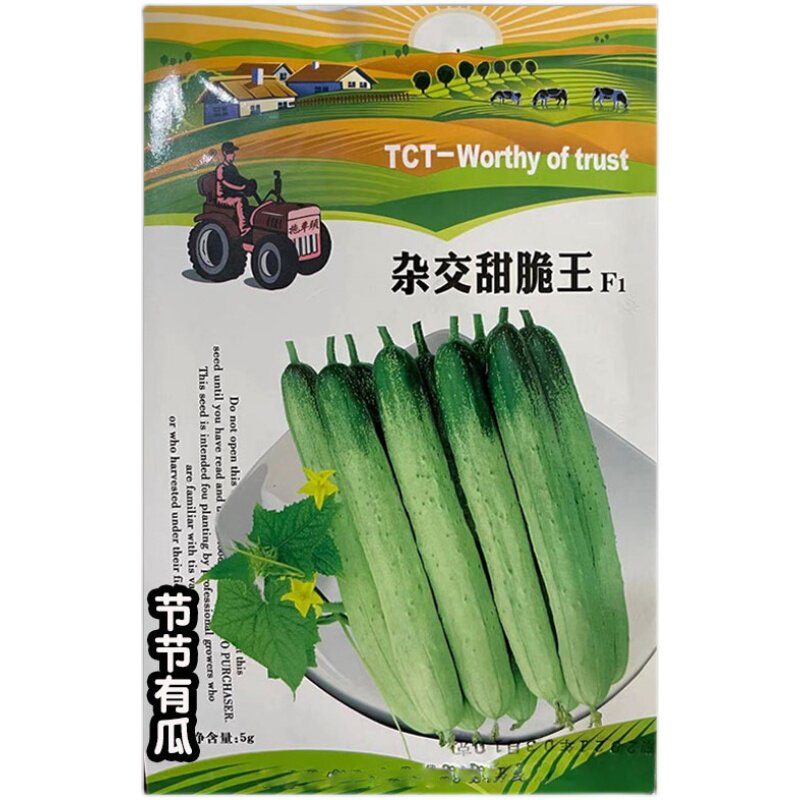 杂交甜脆王黄瓜种子高产旱黄瓜种籽四季春夏秋老品种水果蔬菜种孑