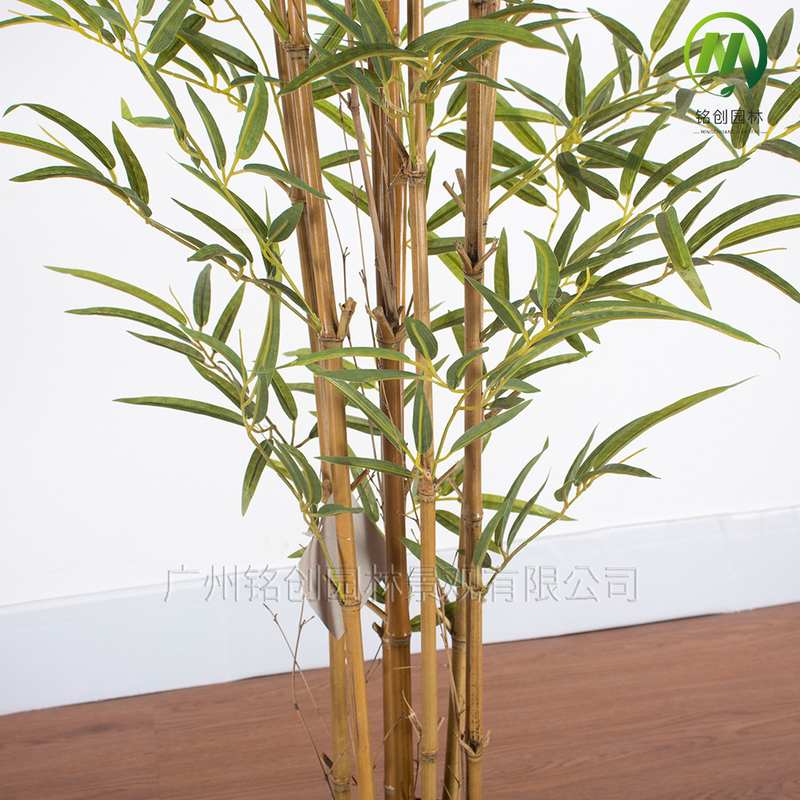 断屏风隔断带盆假竹子 室内外中式微景观装饰造景极简风仿真竹子