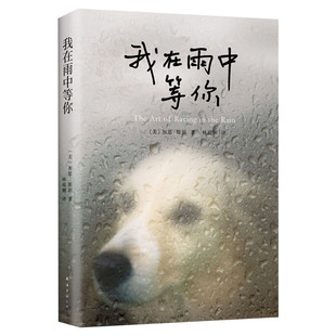 我在雨中等你 正版 一条狗的使命 加思斯坦著 林说俐译 感人治愈图书 都市情感小说 外国现当代文学小说 宠物读物 狗狗心事
