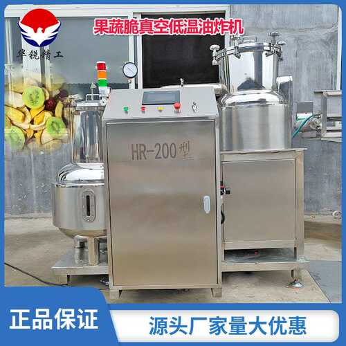 商用小型真空低温油炸机笋条果蔬肉油炸机菠萝蜜香蕉脆油炸机器