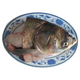 新鲜鱼头 食用鲜活胖头鱼 湖北鱼头 白鲢鱼头 鳙鱼大头鱼水产淡水