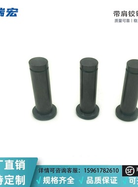 MIC01-D3~D5-L10~L30带肩铰链销  MIC01带肩铰链销 挡圈固定型