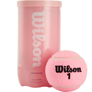 Wilson威尔胜网球冰淇淋彩色网球2粒装罐装新款比赛训练用球