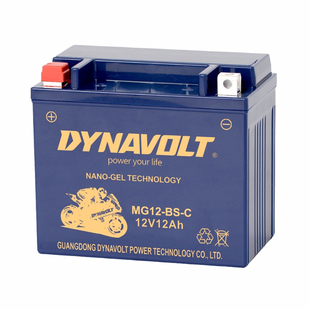 猛狮摩托车电瓶450sr400NK650gt狒狒150CT250电池原装700CLX800MT