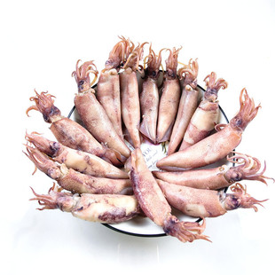 【新货】苏北小乌子干货乌贼鱼墨鱼仔半干野生大海兔管鱼海鲜包邮