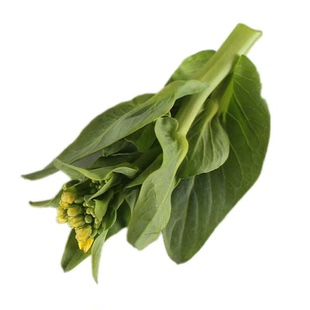 农家菜苔新鲜菜心菜薹小青菜蔬菜苏州青矮脚苏北青菜霜冻霜打菜芯