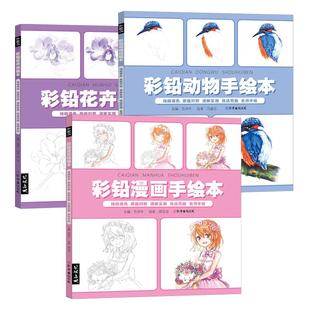 彩铅手绘描摹本填色动漫线稿本美术素材涂色本活页人像底稿卡通上色纸人物儿童画本减压治愈涂色书临摹绘画教程涂鸦书籍成人