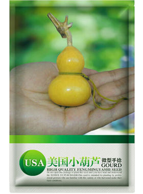 农家美国蔬菜阳台种植文玩葫芦籽