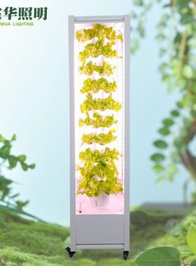 植物工厂智能无土栽培机家用立柱式水雾栽培种植机蔬菜水培种植
