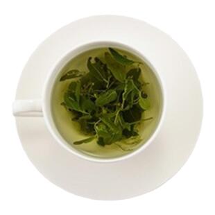 新品上市限时优惠河北邢台枣芽茶酸枣芽茶风干晾晒2025新茶清香