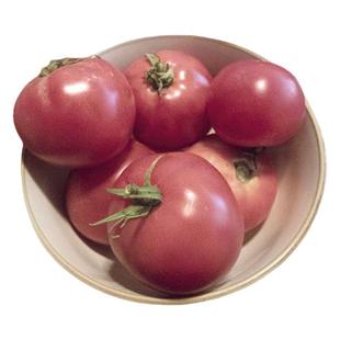 伊娃紫球番茄种子皮薄浓郁沙瓤抗病高产传家宝春秋室内阳台盆栽