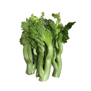 青菜菜苔新鲜贵州农家芥菜时令蔬菜贵州青菜苔冲菜苔