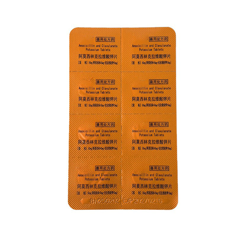 速诺阿莫西林片猫狗消炎药感冒药