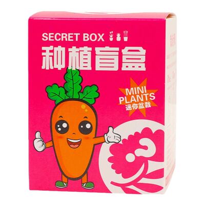 幼儿园礼物迷你绿植种植盲盒盆栽