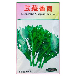 武藏香茼种子大全农家茼蒿种籽菜籽四季皇帝菜种苗青菜蔬菜种孑