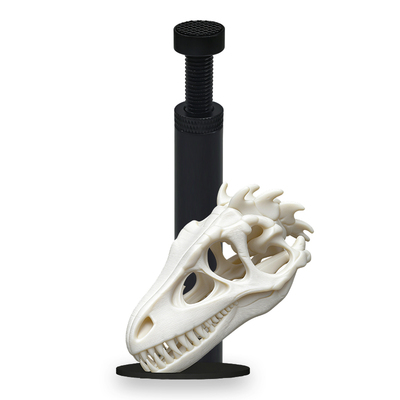 创意显卡支架手办恐龙头骨化石