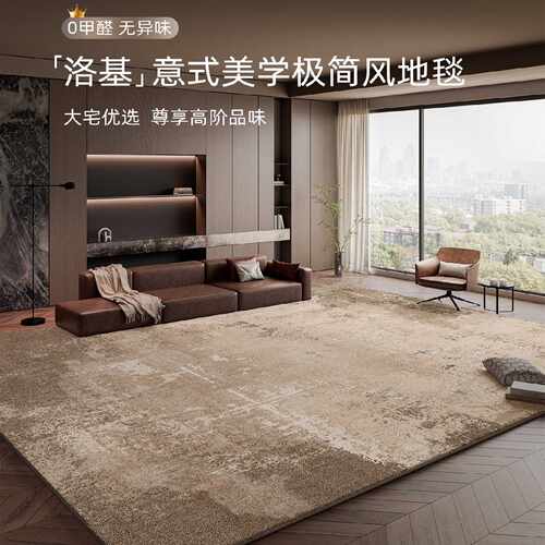 地毯客厅2025新款意式极简卧室免洗可擦家用房间茶几可拆洗床边毯