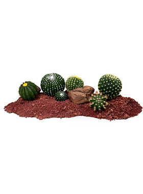 仿真仙人掌仙人球沙漠植物装饰品