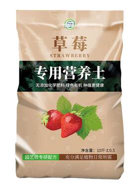 草莓专用土果多口甜更大更甜