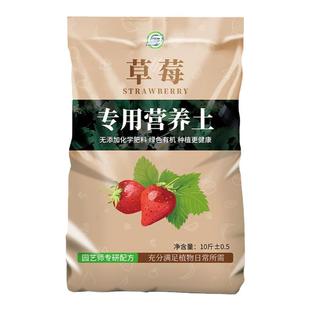 草莓专用营养土瓜果树通用土壤草莓盆栽种植土阳台有机土肥料批发