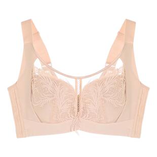 奥维丝丽凤兮华彩系列内衣女薄大胸显小软钢圈上托调整型文胸2472