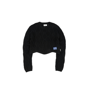 DifferentRiver2024春夏时尚简约镂空短款上衣女款毛衣