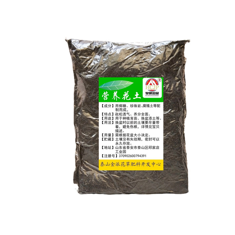 象耳芋霸王芋盆景疏松椰砖营养土