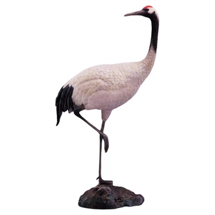 现货 JXK 1/6 仙鹤 JXK131 鸟类动物GK模型 可配12寸兵人偶