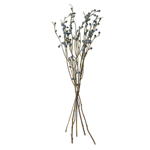 天然真花植物干果插花装饰搭配干树枝森林系复古文艺摆设尤加利果