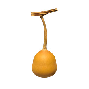 精品迷你小胖墩葫芦草里金铁包金文玩手捻把件葫芦天然一物一拍