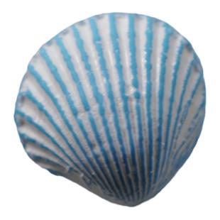15mm一颗价英国Textile Garden浅蓝底白线条立体贝壳造型纽扣